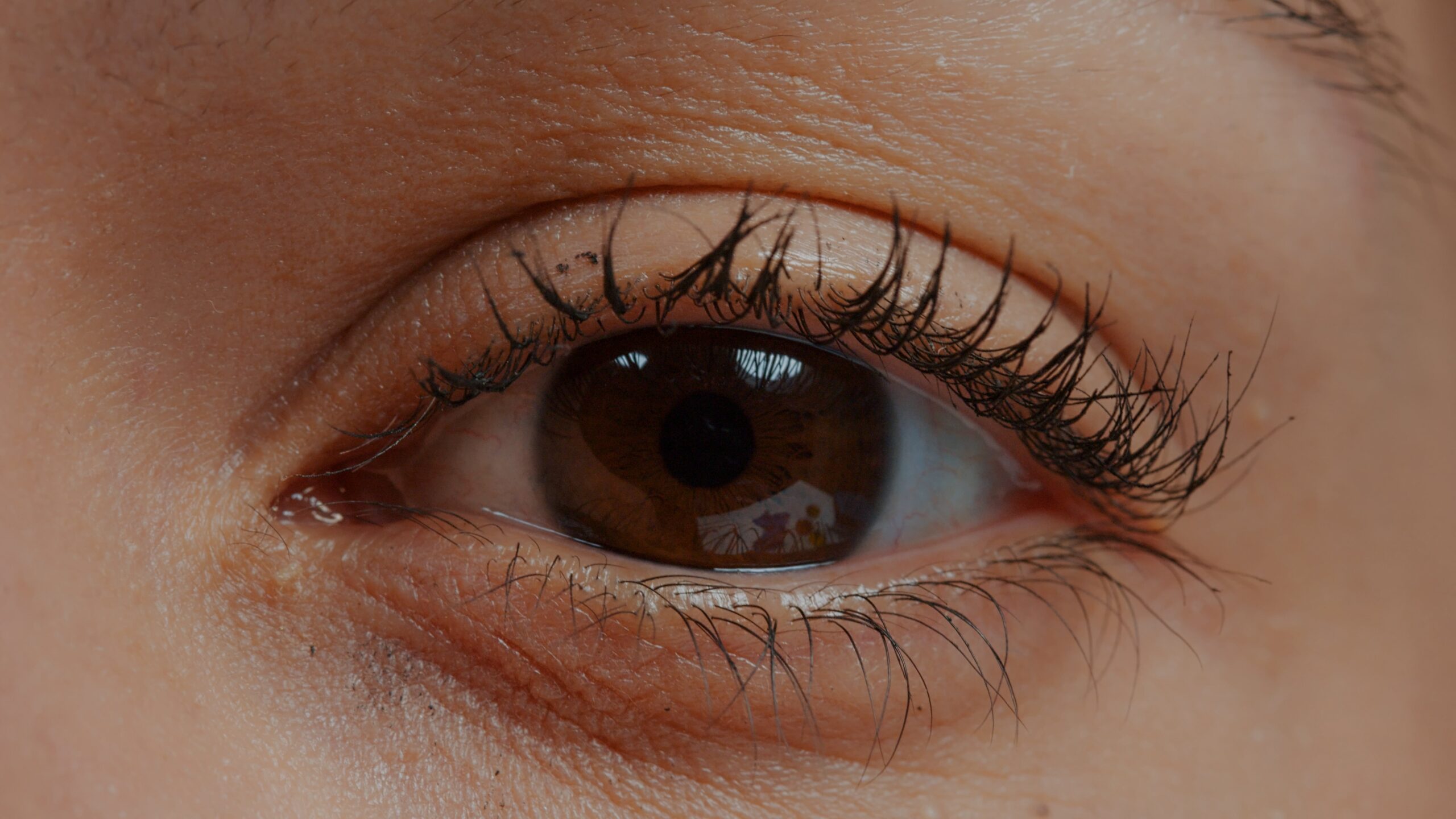 Hormone Based Lash Serums vs. Peptide Based Lash Serums: Understanding the Hair Growth Cycle and the Science Behind Lash Enhancement